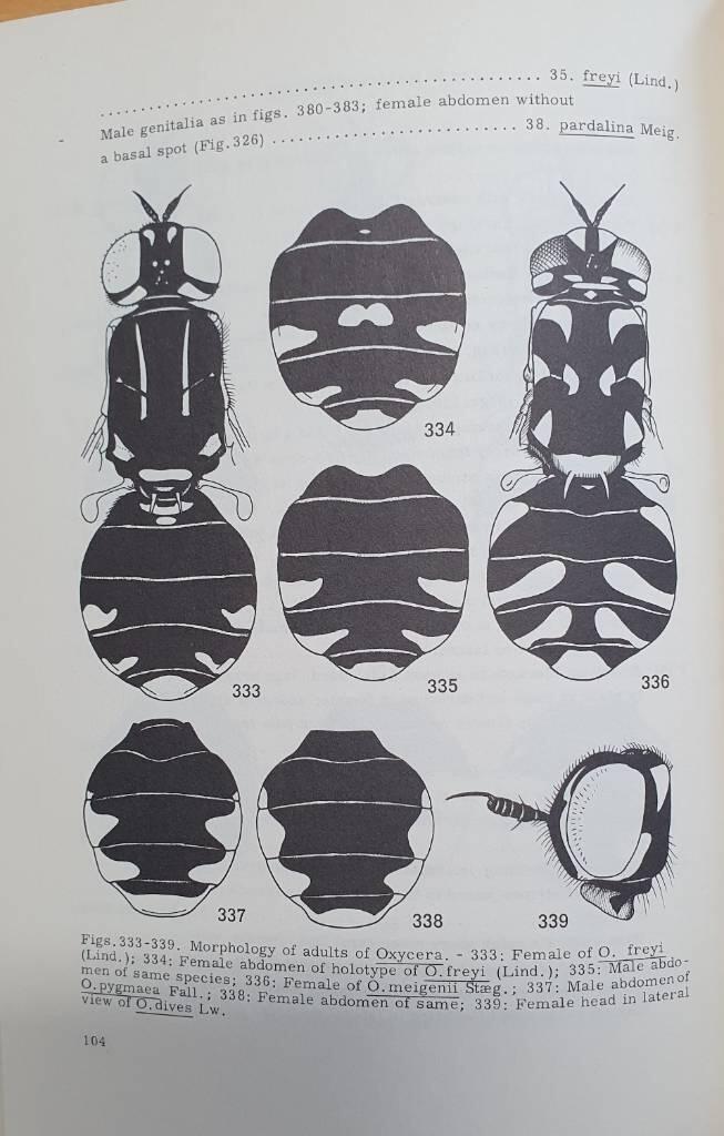 The Stratiomyioidea (Diptera) of Fennoscandia and Denmark