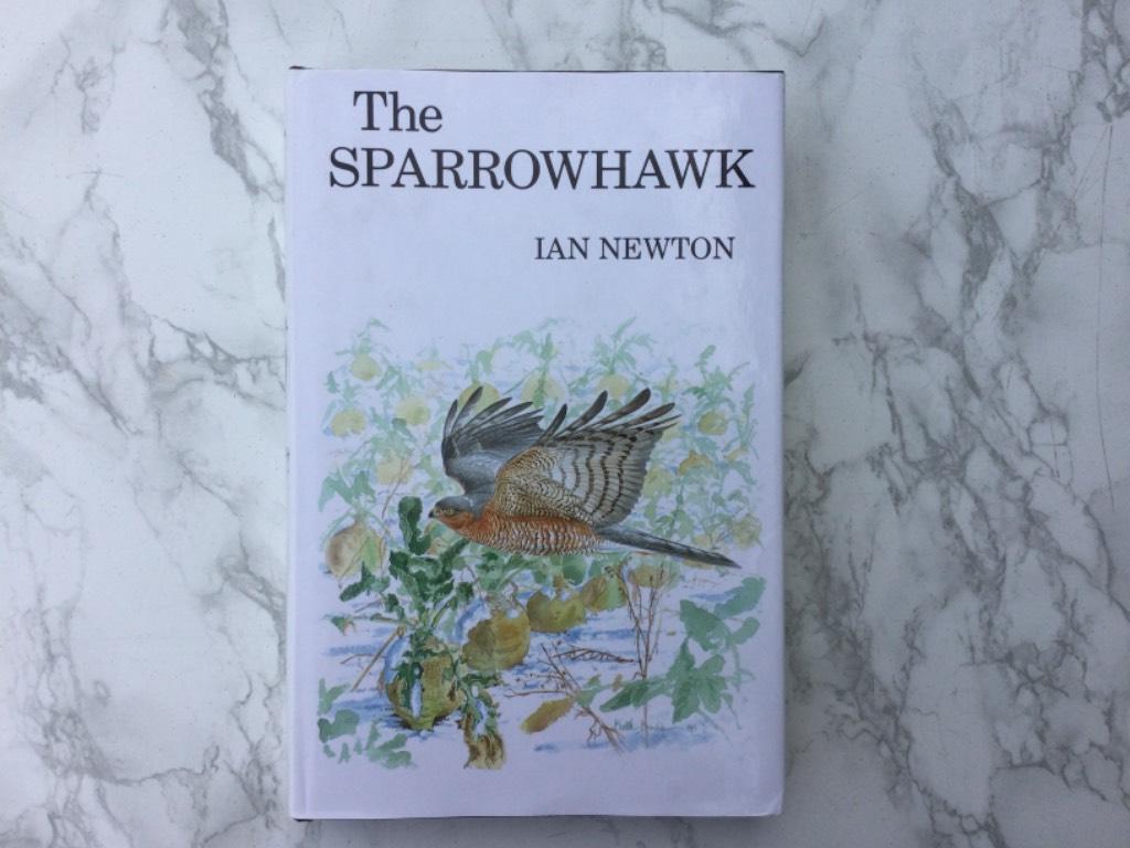 The sparrowhawk