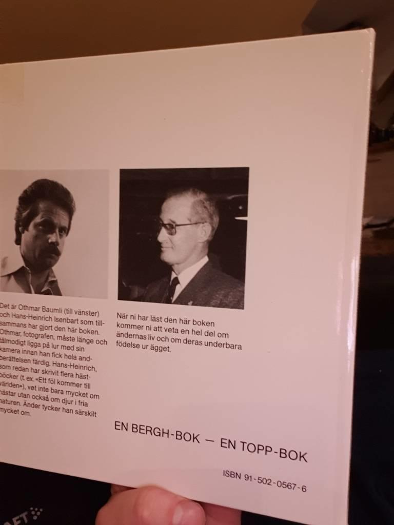 En andunge kommer till v&auml;rlden