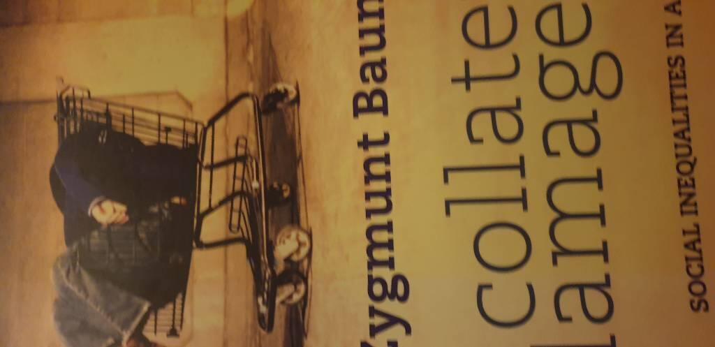 Collateral Damage: Social Inequalities in a Global Age