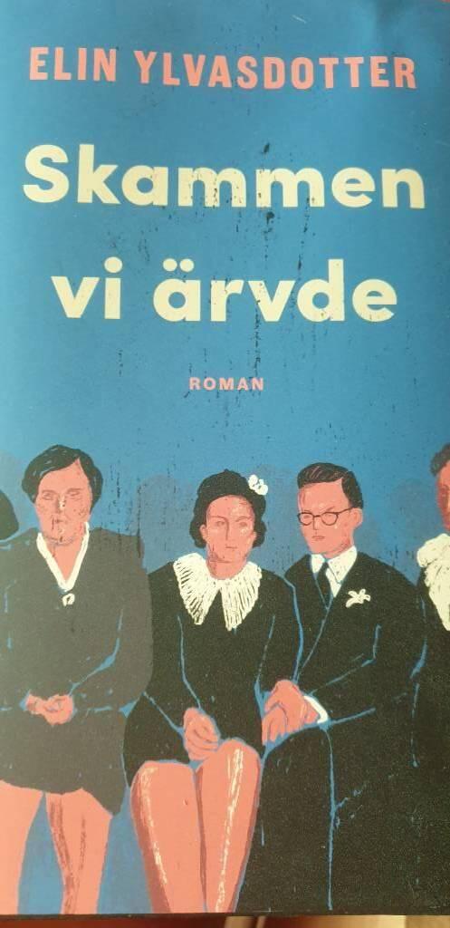 Skammen vi &auml;rvde - roman
