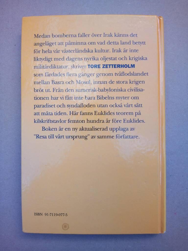 En bok om Irak