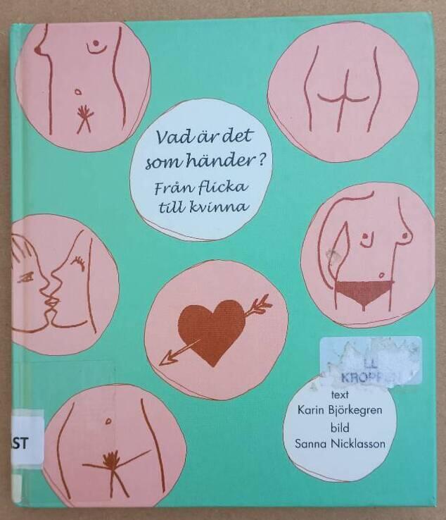 Vad &auml;r det som h&auml;nder? - Fr&aring;n flicka till kvinna