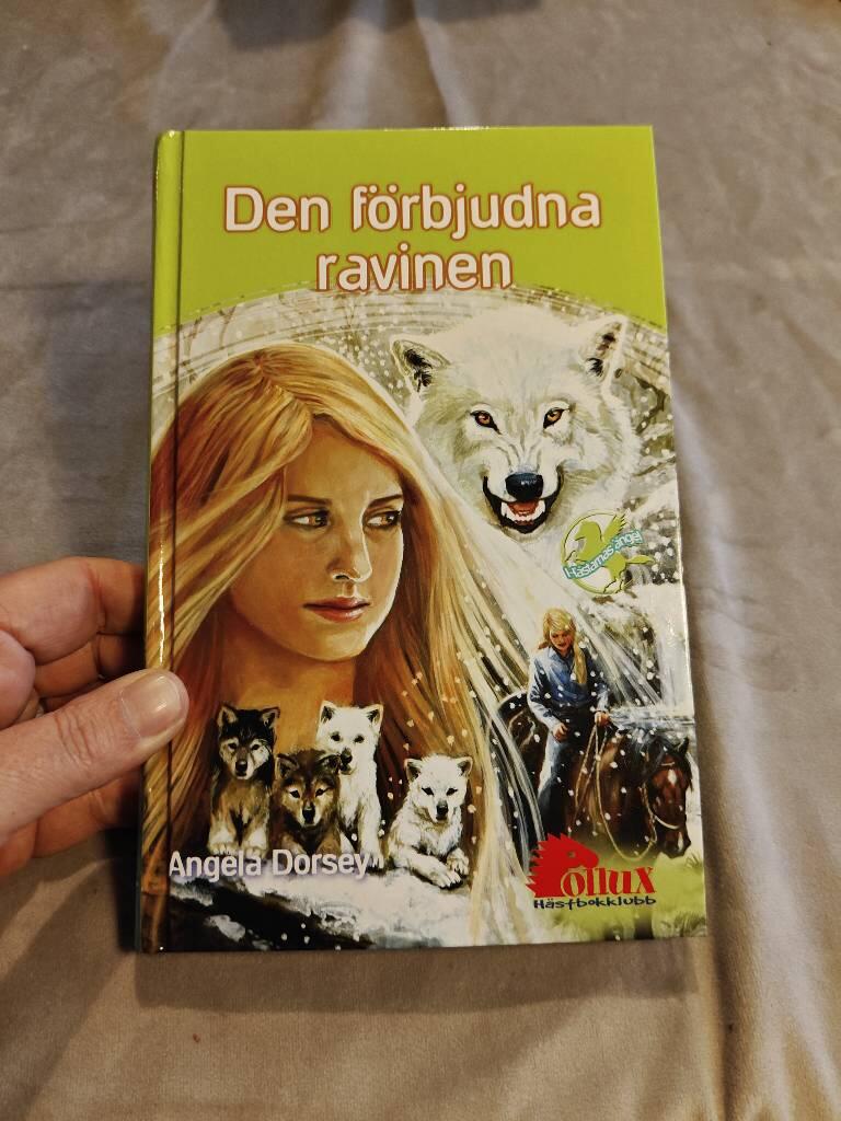 Den f&ouml;rbjudna ravinen