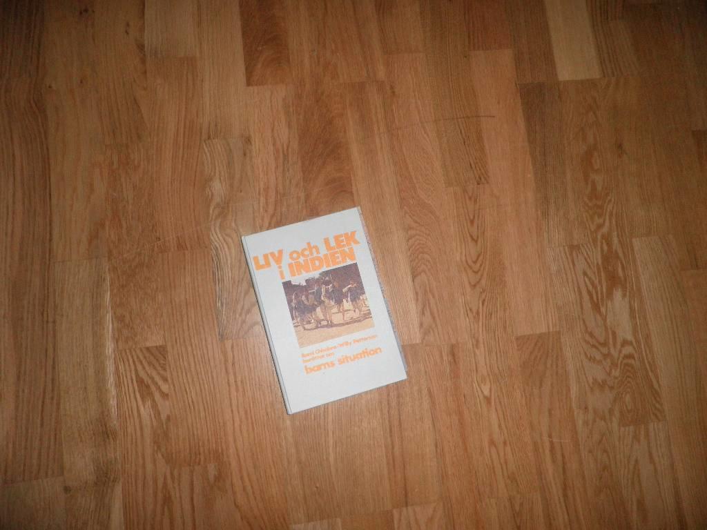 Liv och lek i Indien [Elektronisk resurs] : Rami Chhabra, Willy Petterson ber&auml;ttar om barns situation