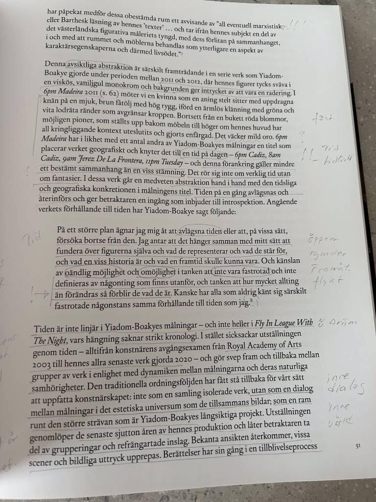 Lynette Yiadom-Boakye - fly in league with the night