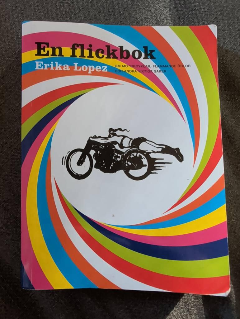 En flickbok om motorcyklar, flammande &ouml;dlor och andra viktiga saker