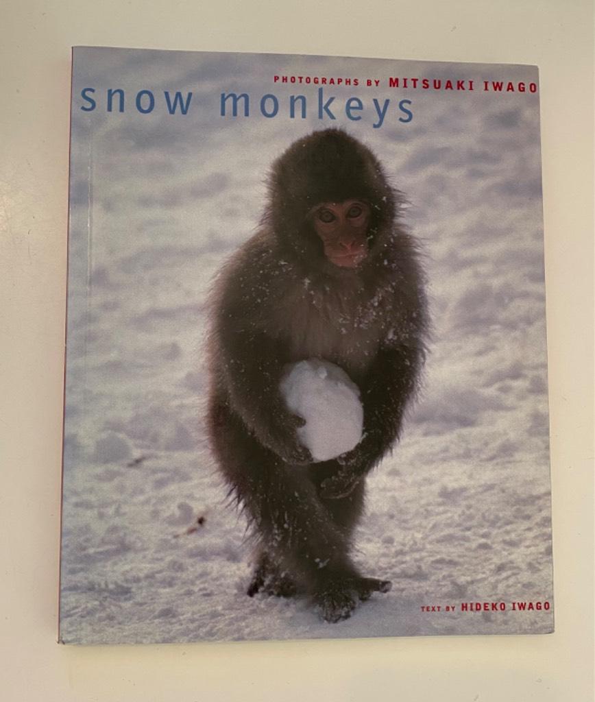 Snow monkeys