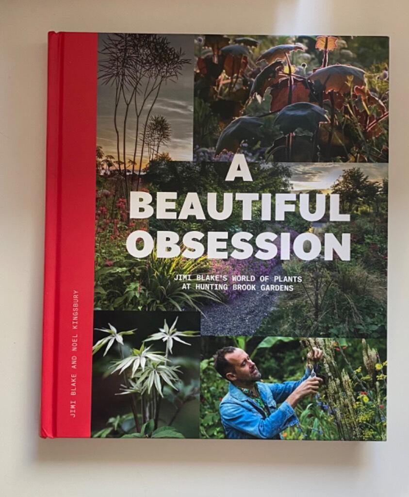 A beautiful obsession - Jimi Blake's world of plants at Hunting Brook Gardens