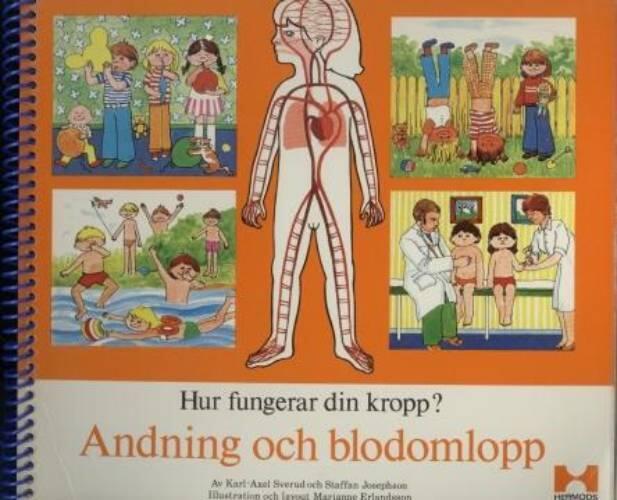 Hur fungerar din kropp?