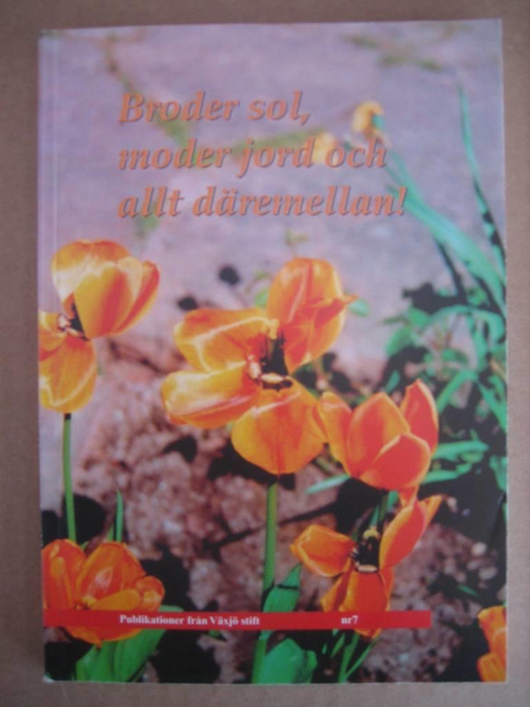Broder sol, moder jord och allt d&auml;remellan : milj&ouml;n i gudstj&auml;nsten