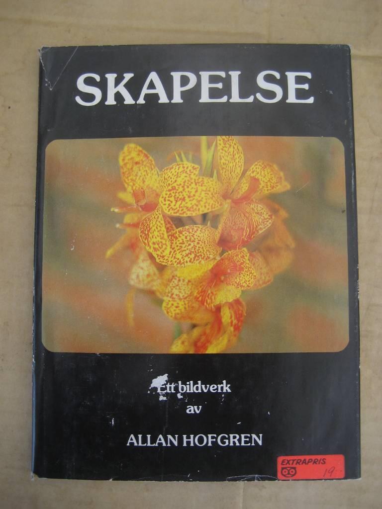 Skapelse