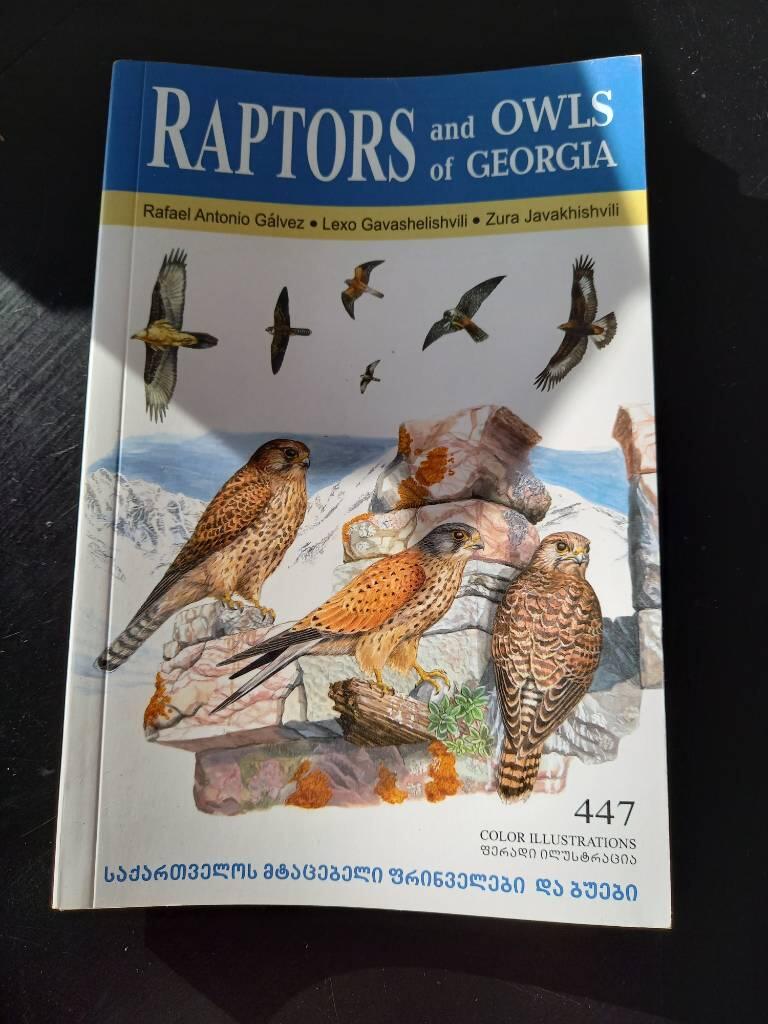 Raptors and owls of Georgia