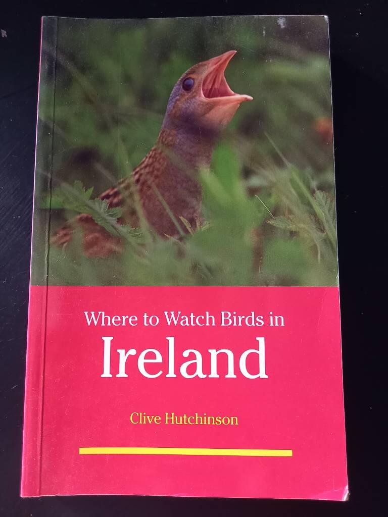 Where to watch birds in Ireland