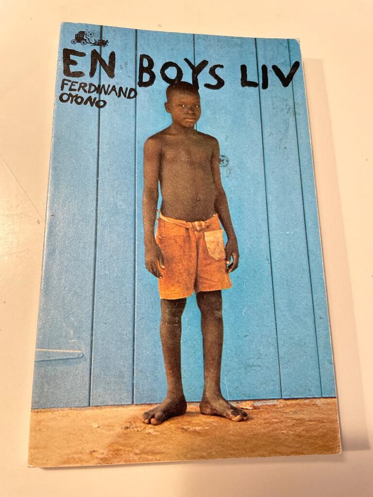 En boys liv - roman