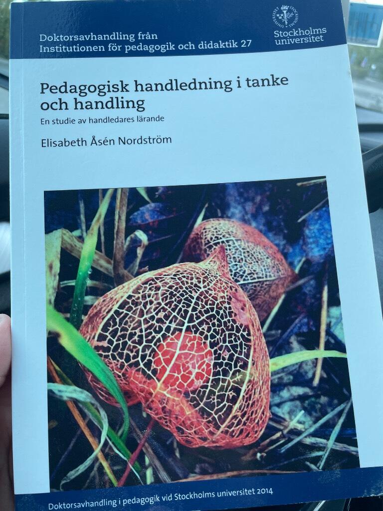 Pedagogisk handledning i tanke och handling : en studie av handledares l&auml;rande