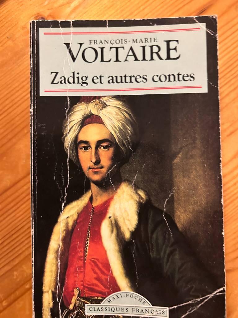 Zadig et autres contes
