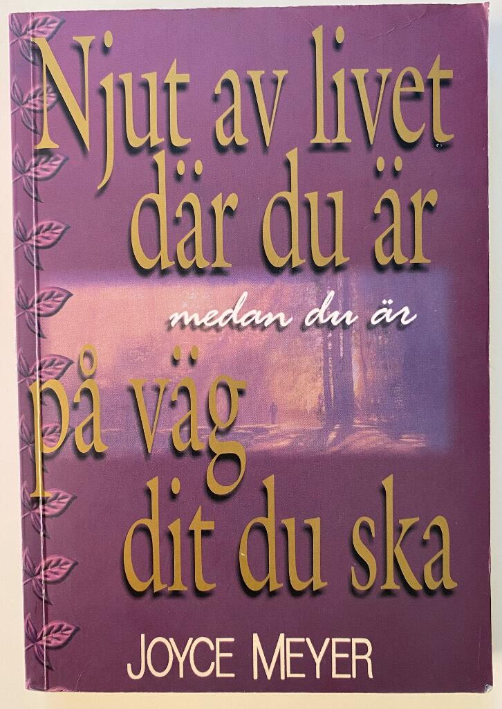 Njut av livet d&auml;r du &auml;r medan du &auml;r p&aring; v&auml;g dit du ska