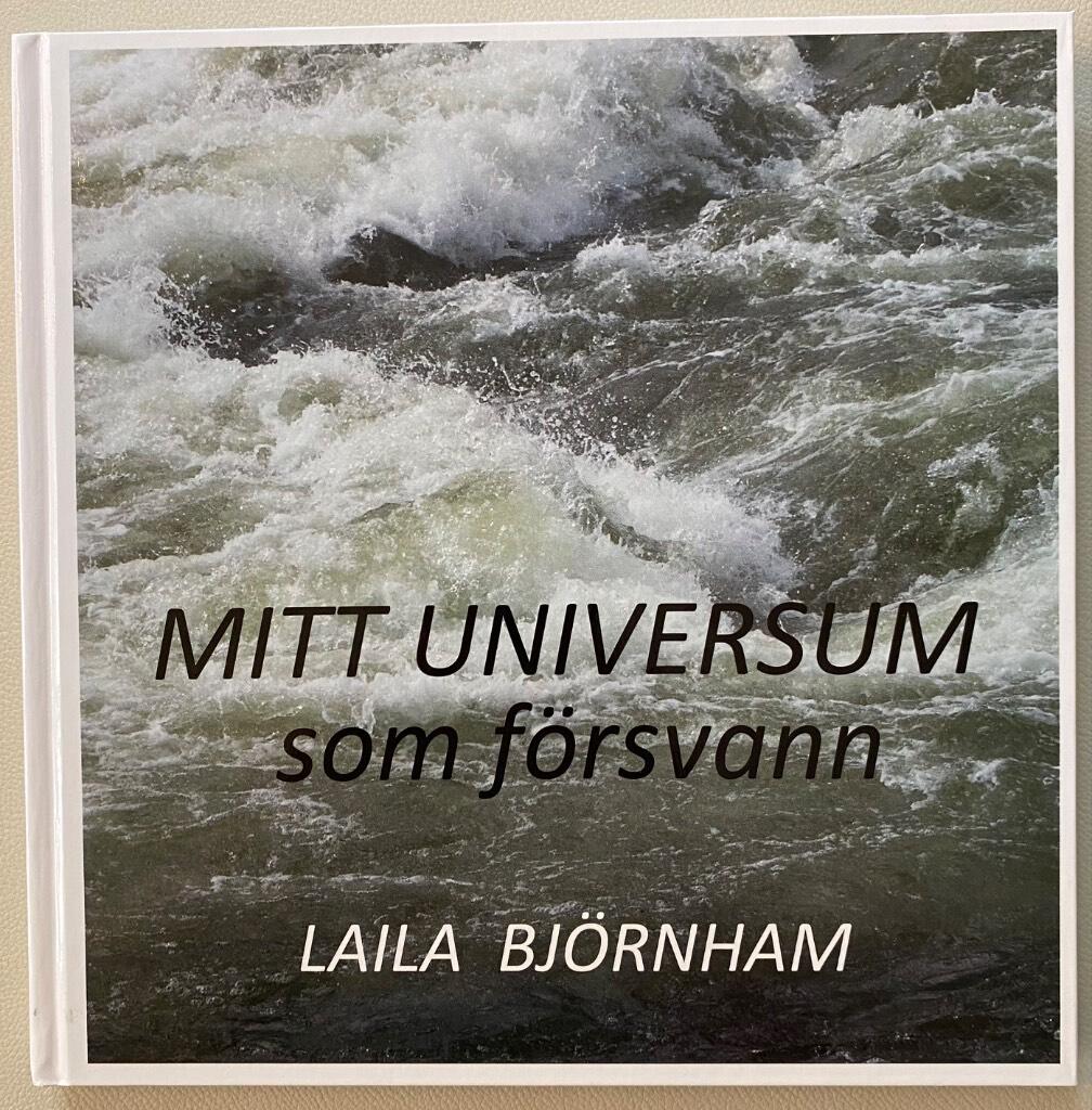 Mitt universum som f&ouml;rsvann