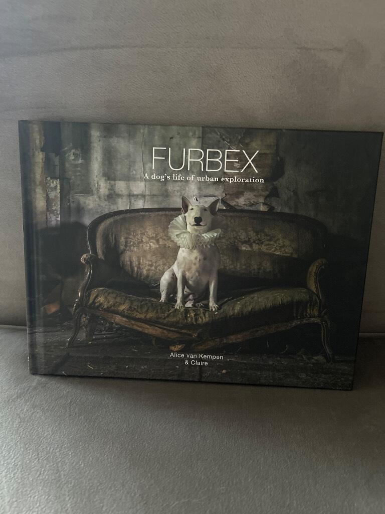 Furbex - a dogs life of urban exploration