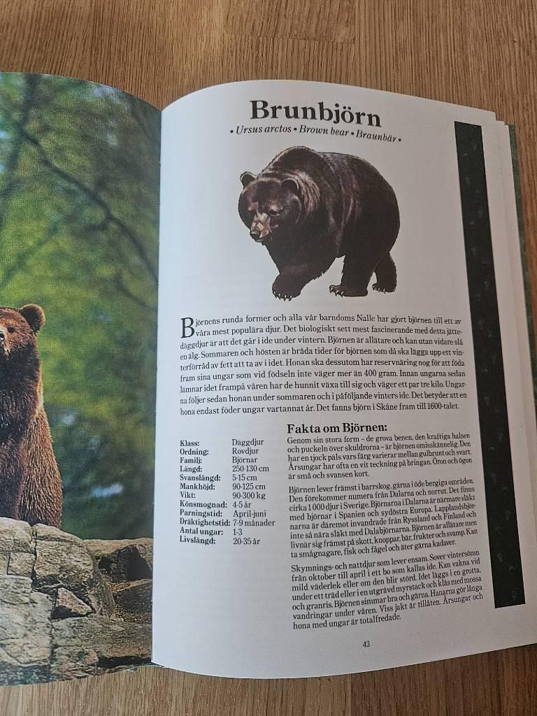 Nordens djur i Skånes djurpark