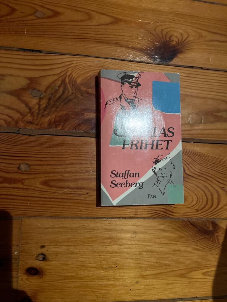 Stellas frihet : roman