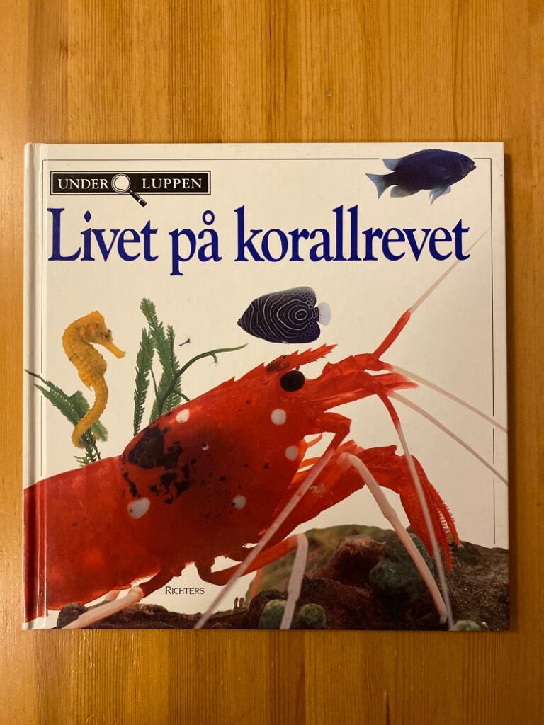 Livet p&aring; korallrevet