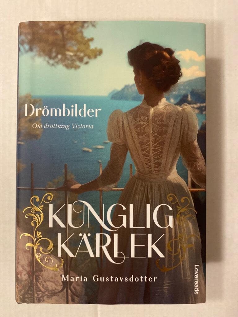Drömbilder - roman
