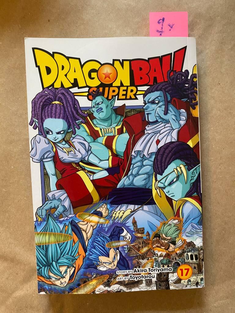 Dragon Ball Super - 17. God of destruction power