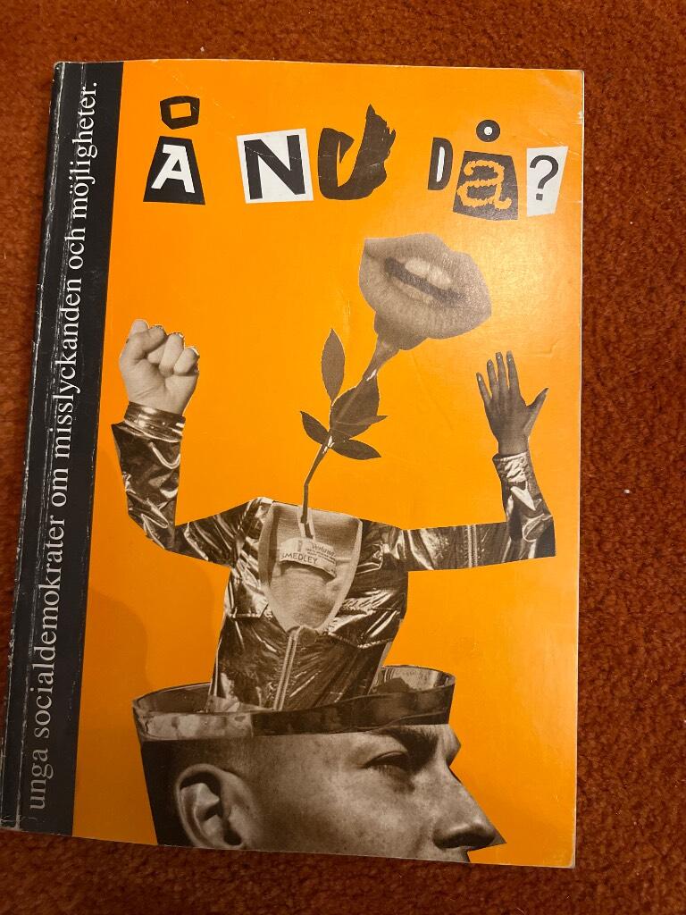 &Aring; nu d&aring;? : unga socialdemokrater om misslyckanden och m&ouml;jligheter : en antologi