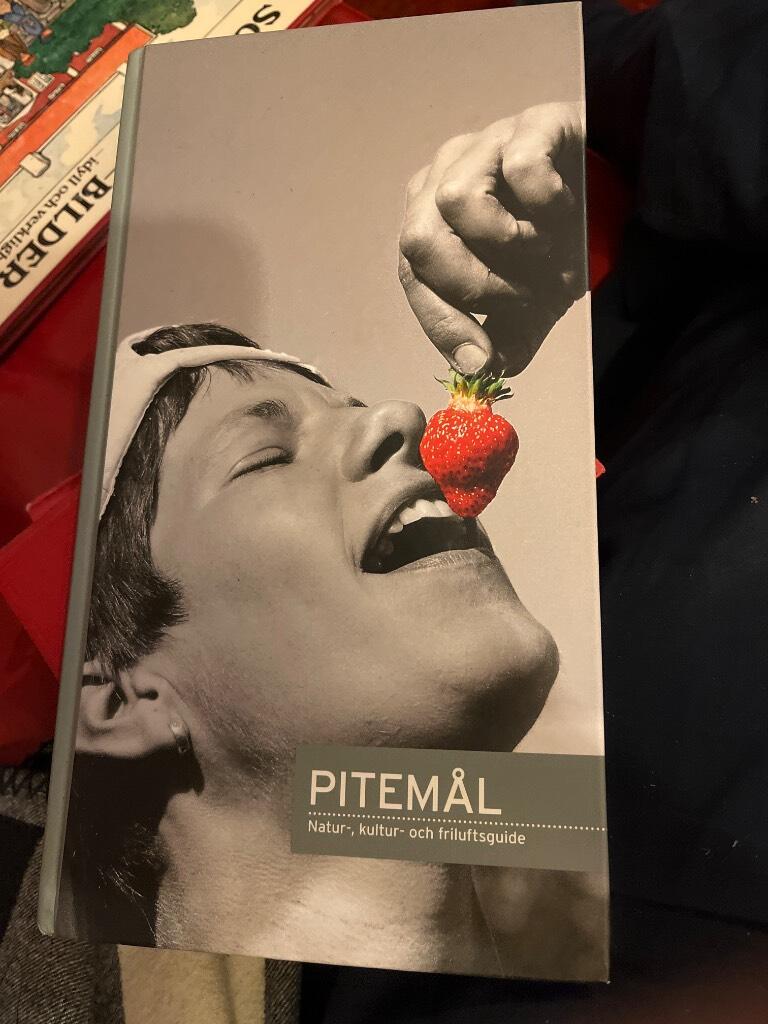 Pitemål : natur-, kultur- och fritidsguide