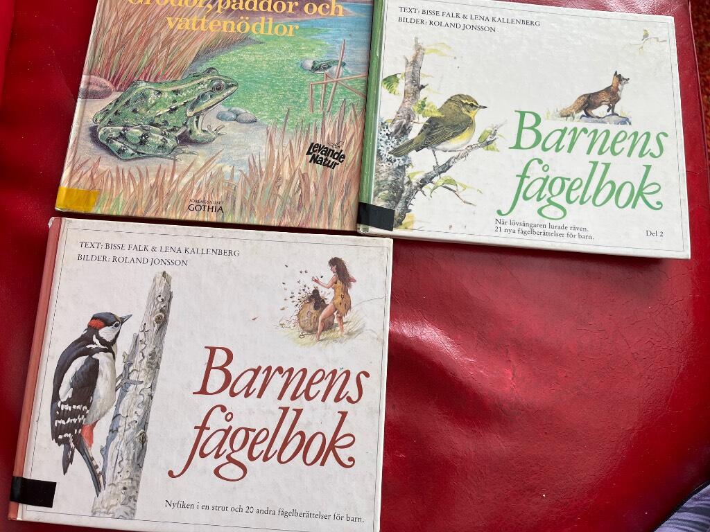 Grodor, paddor och vatten&ouml;dlor