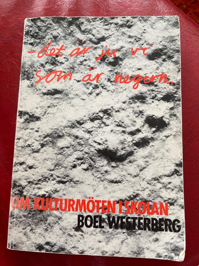 -det är ju vi som är negern- : om kulturmöten i skolan