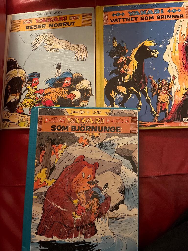 Yakari som bj&ouml;rnunge