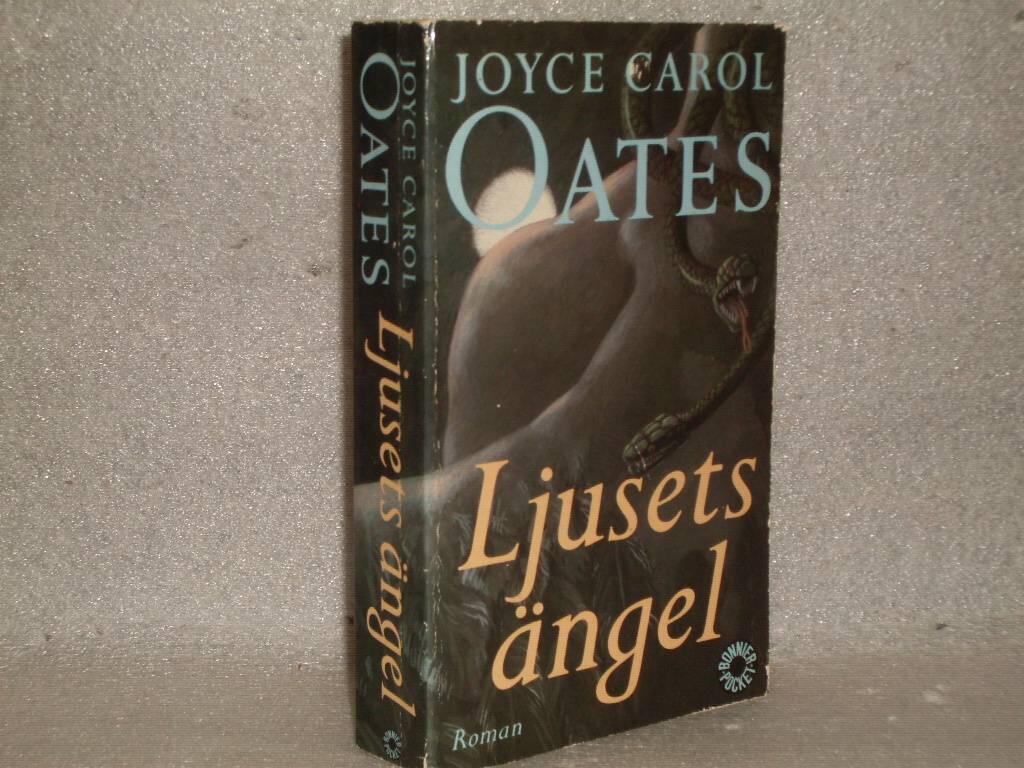 Ljusets &auml;ngel : [roman]