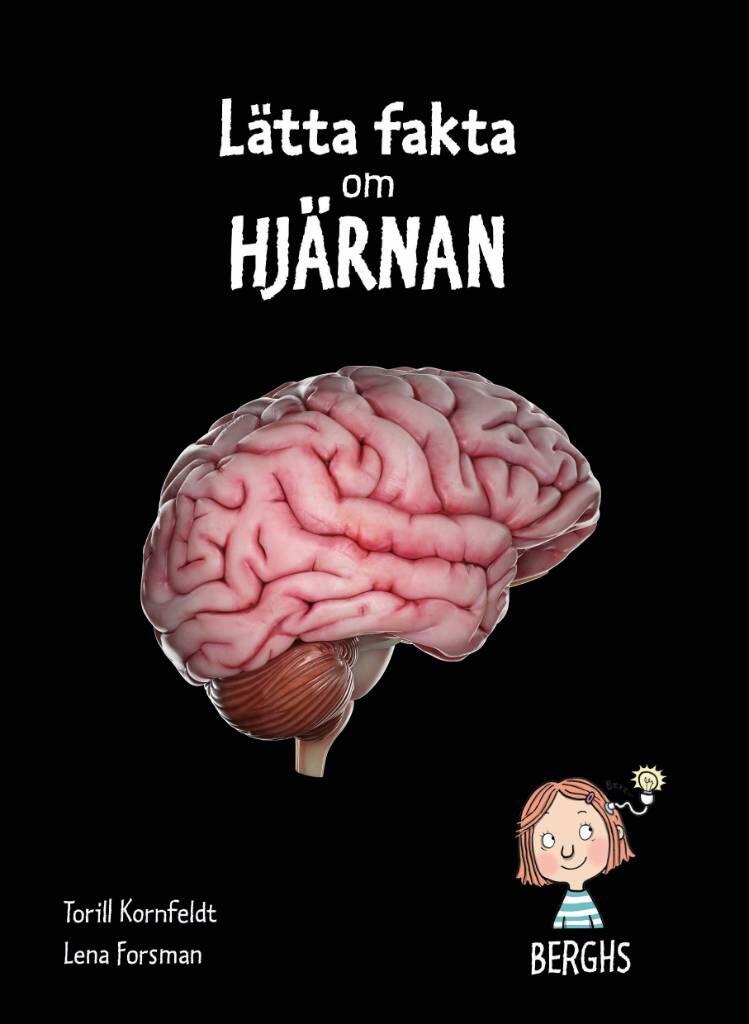 L&auml;tta fakta om hj&auml;rnan