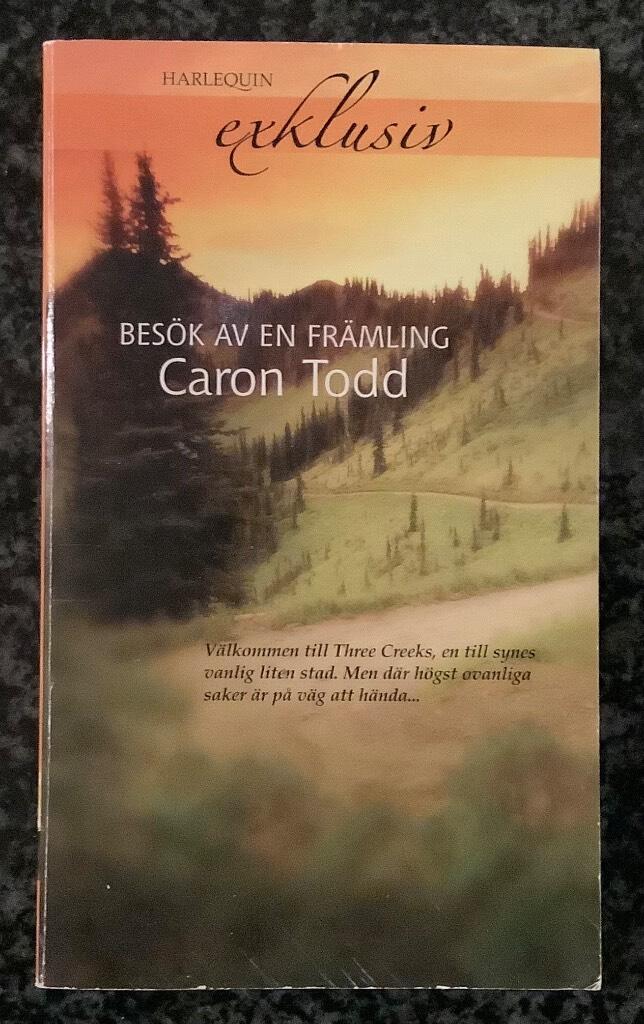 Bes&ouml;k av en fr&auml;mling
