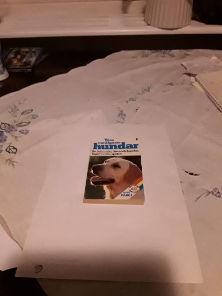 V&aring;ra vanligaste hundar