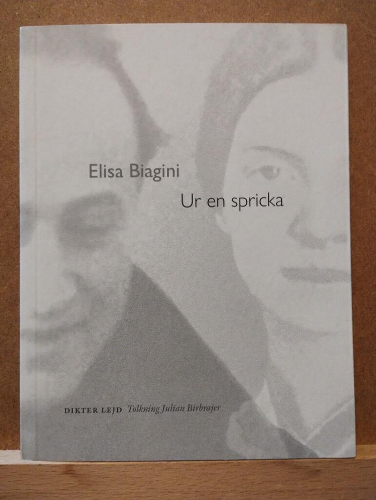 Ur en spricka - dikt