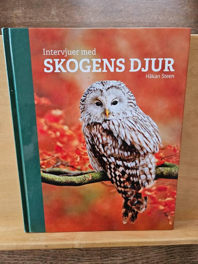 Intervjuer med skogens djur