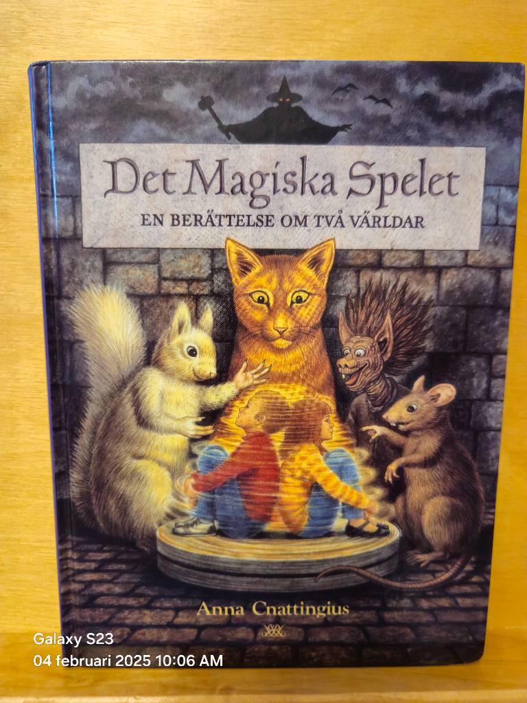 Det magiska spelet : en ber&auml;ttelse om tv&aring; v&auml;rldar