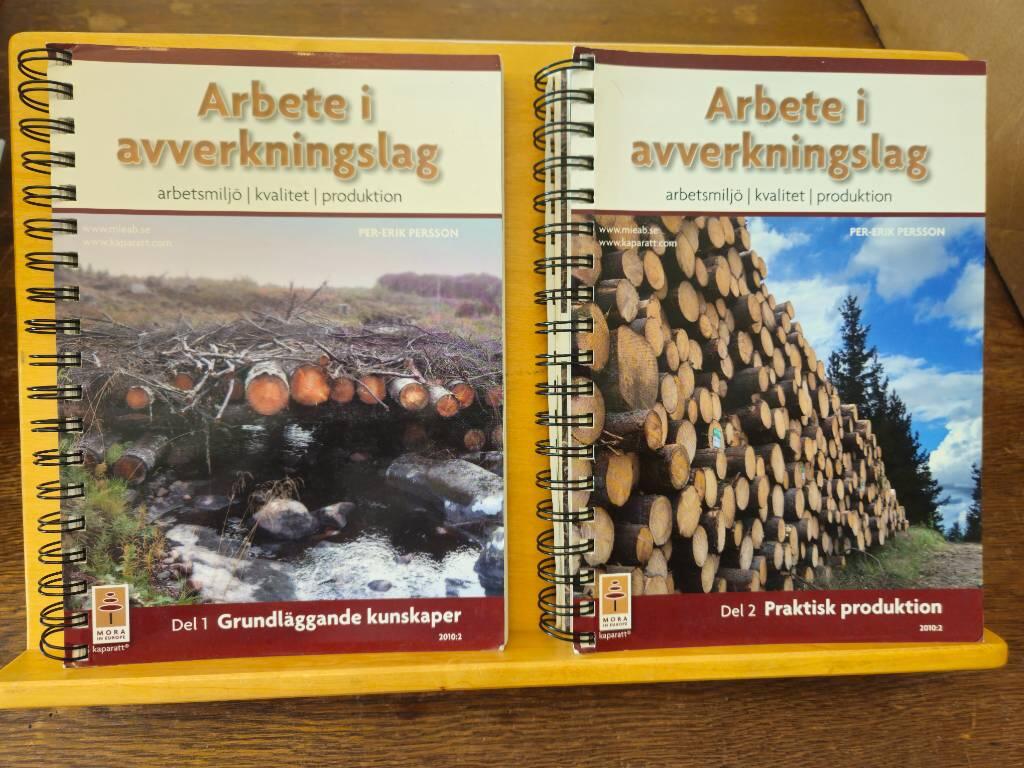 Arbete i avverkningslag : arbetsmilj&ouml;, kvalitet, produktion