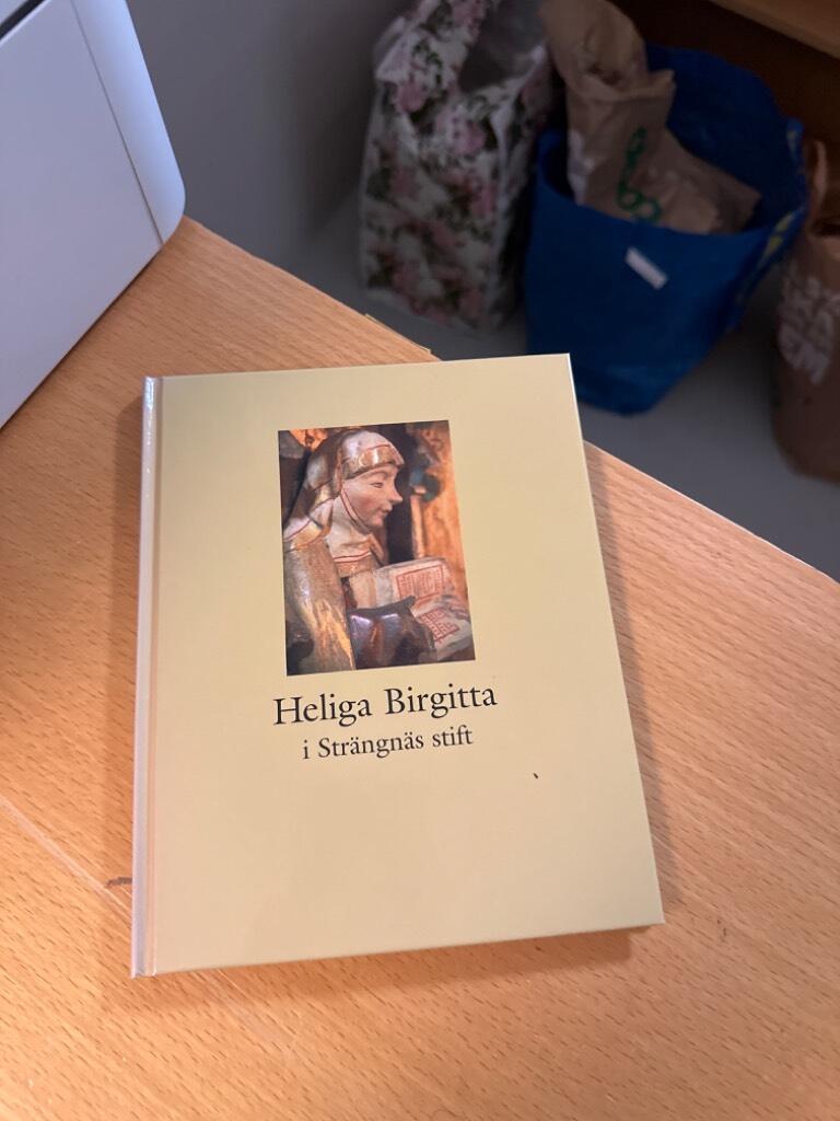 Heliga Birgitta i Str&auml;ngn&auml;s stift