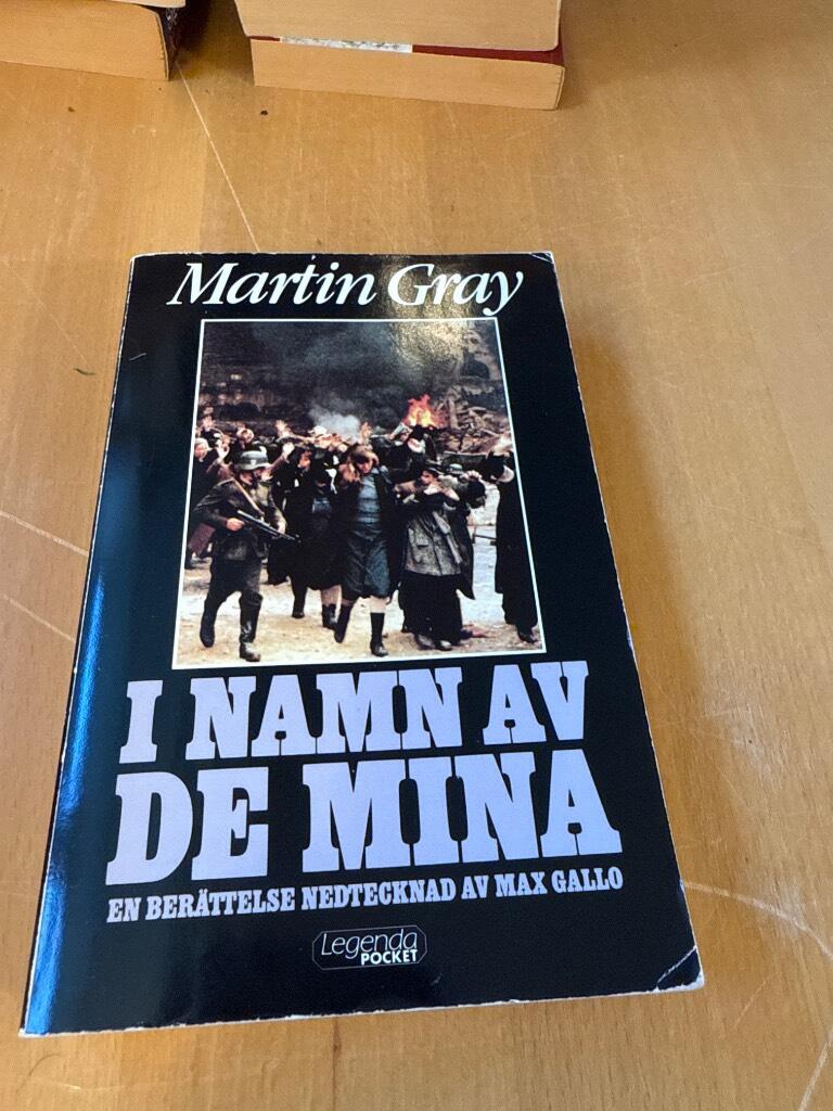 I namn av de mina : en ber&auml;ttelse