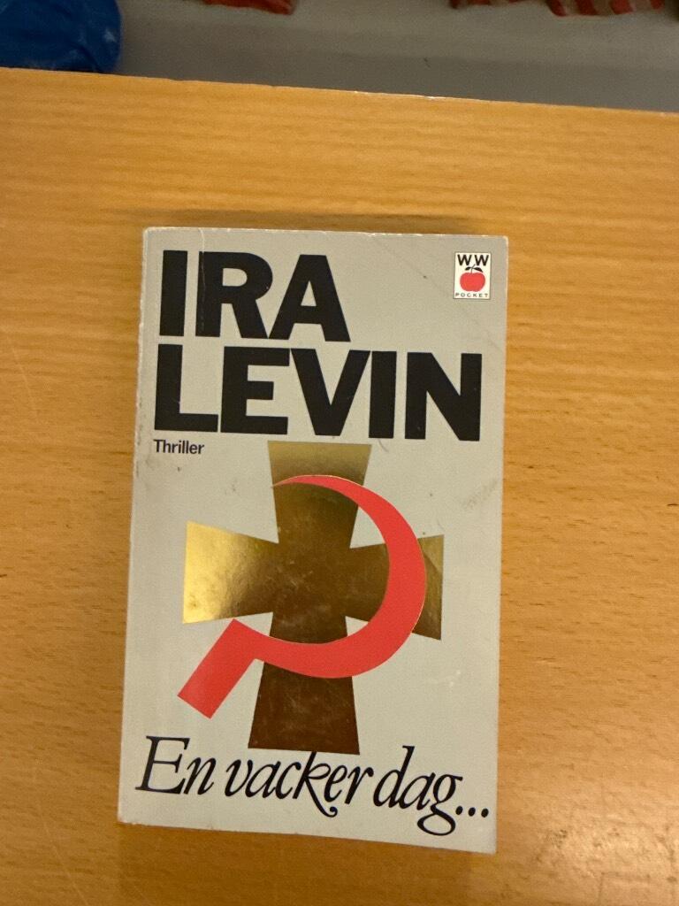 En vacker dag- : [thriller]