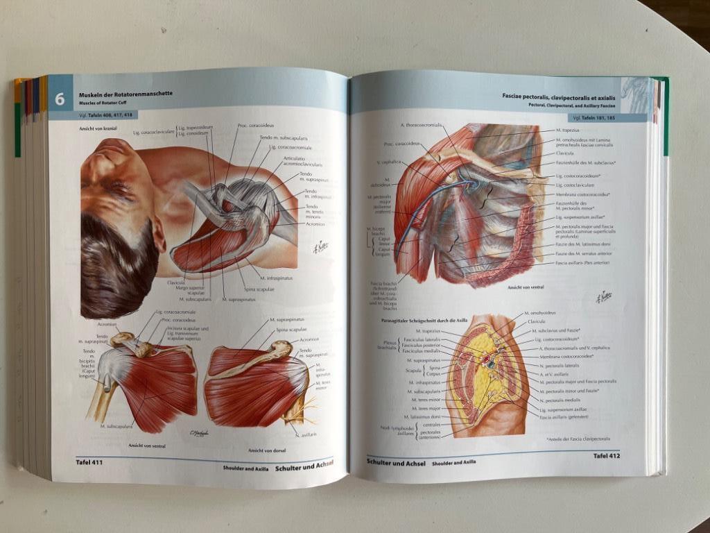 Atlas der Anatomie