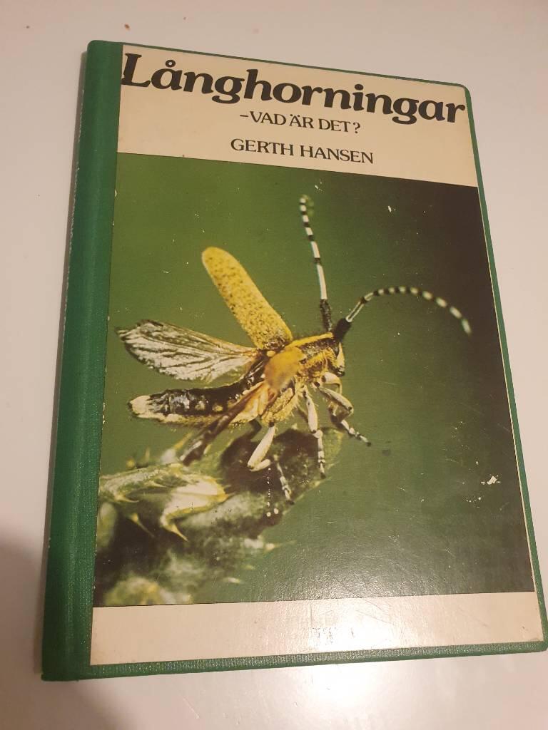 L&aring;nghorningar - vad &auml;r det?