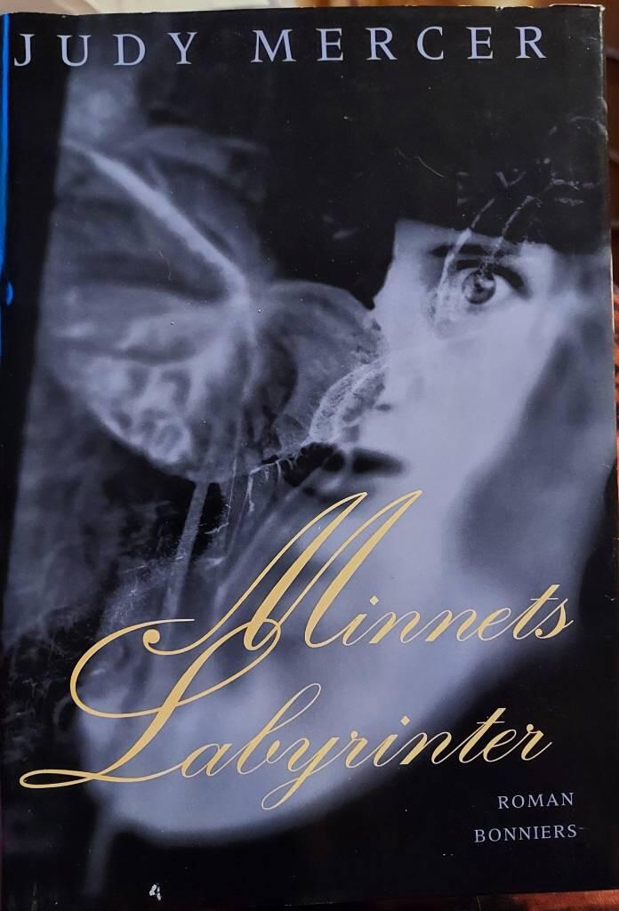 Minnets labyrinter : [roman]