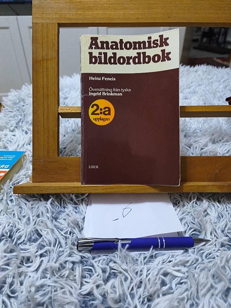 Anatomisk bildordbok