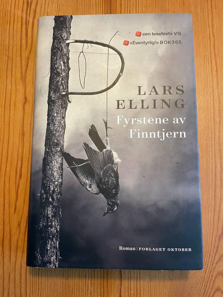 Fyrstene av Finntjern - roman